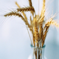 有哪些行业必须办理的许可证